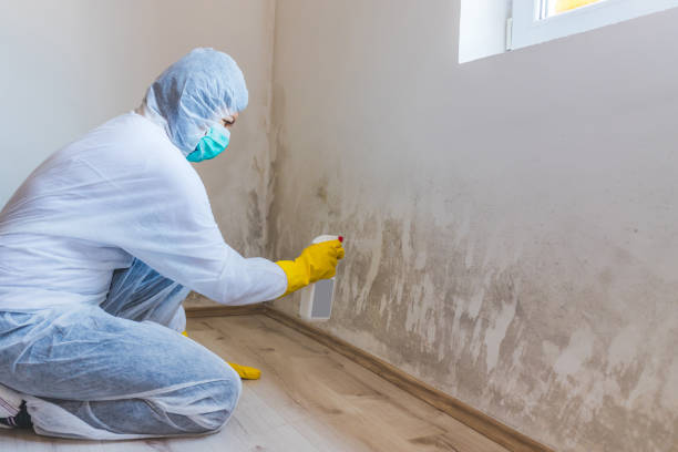 Bathroom Mold Removal assessment in Fort Collins bathroom